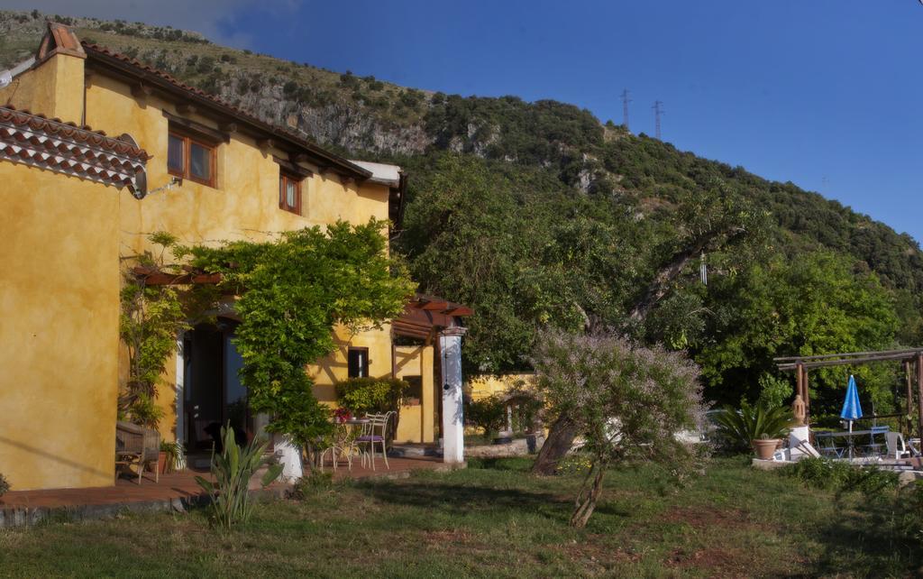 B&B Calandrella Maratea Exterior photo